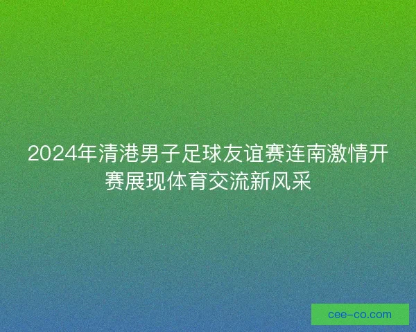 2024年清港男子足球友谊赛连南激情开赛展现体育交流新风采