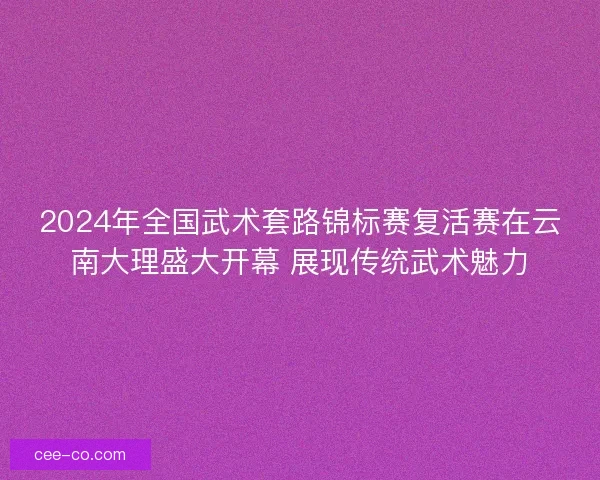 2024年全国武术套路锦标赛复活赛在云南大理盛大开幕 展现传统武术魅力
