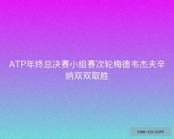 ATP年终总决赛小组赛次轮梅德韦杰夫辛纳双双取胜