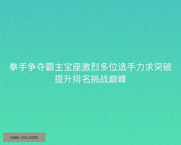 拳手争夺霸主宝座激烈多位选手力求突破提升排名挑战巅峰