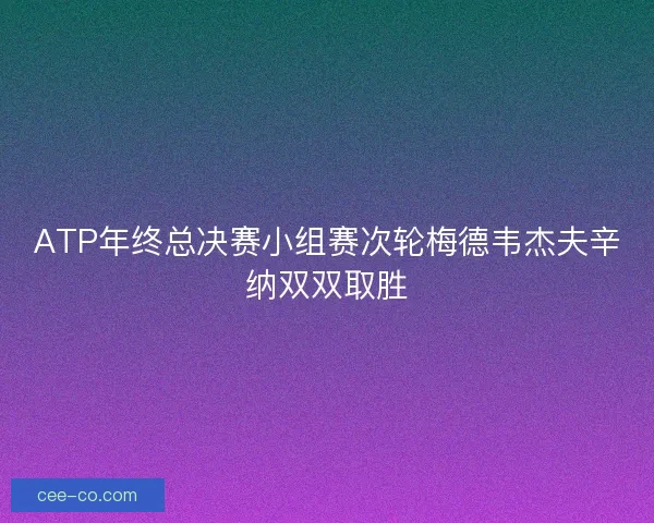 ATP年终总决赛小组赛次轮梅德韦杰夫辛纳双双取胜