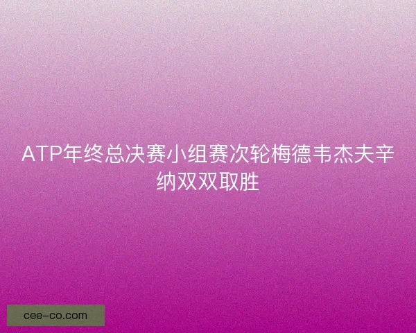 ATP年终总决赛小组赛次轮梅德韦杰夫辛纳双双取胜